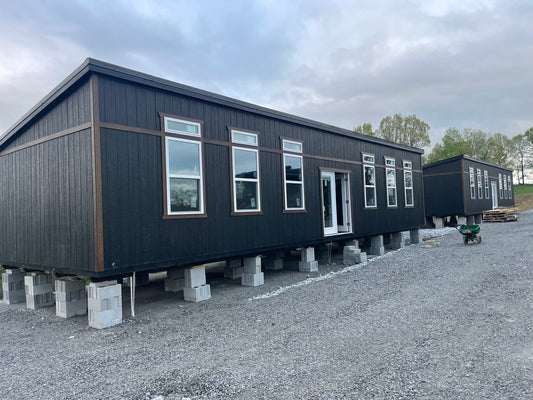 The Black Stallion Modern Cabin
